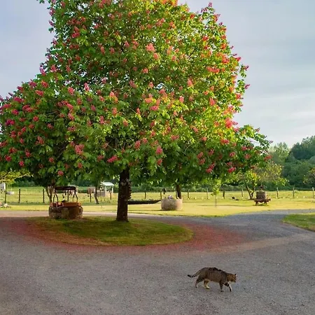 Les Bougrines - Marais Poitevin, Sud Vendee Appartement Fontaines (Pays de la Loire)