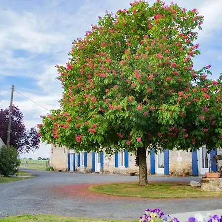 Les Bougrines - Marais Poitevin, Sud Vendee Fontaines (Pays de la Loire)
