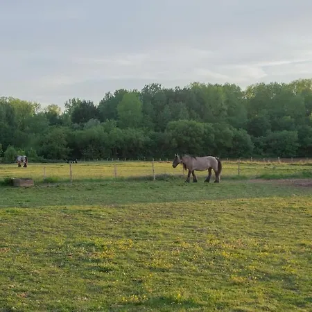 Les Bougrines - Marais Poitevin, Sud Vendee *