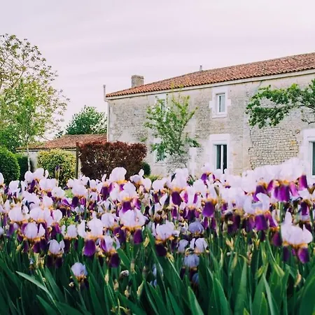 Les Bougrines - Marais Poitevin, Sud Vendee